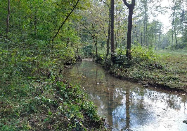 1st image of 7500 Antioch Rd, Smithville, TN 37166 | MLS# 2975256