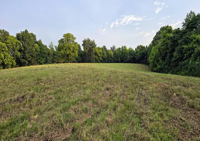 2nd image of 300 Milky Way Dr, Pulaski, TN 38478 | MLS# 2975213
