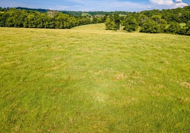 Homes for sale in Wartrace, TN | 1 Hickerson Rd, Wartrace, TN 37183 | MLS# 2976740