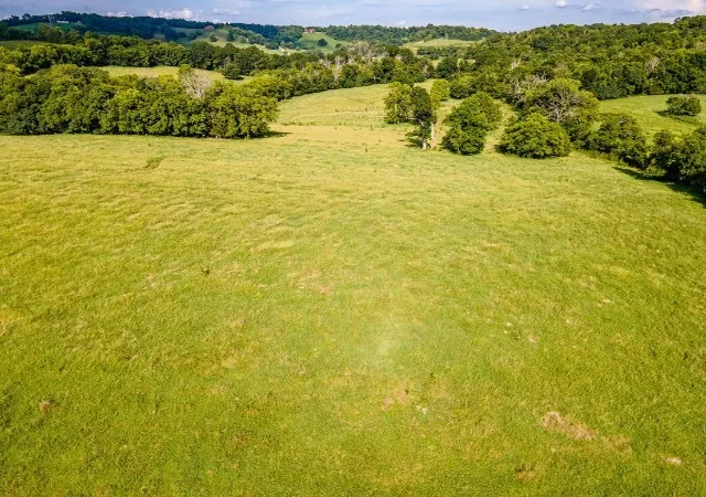 Homes for sale in Wartrace, TN | 1 Hickerson Rd, Wartrace, TN 37183 | MLS# 2976740