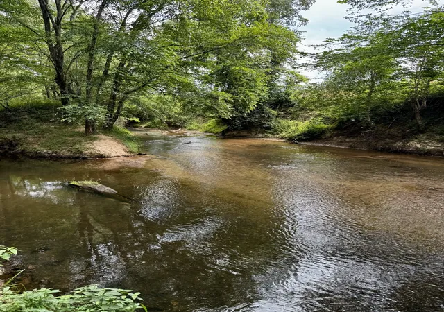 2nd image of 320 Durid Lane, Paris, TN 38242 | MLS# 2976096