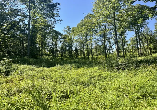 2nd image of 0 Big Sink Road, Mcminnville, TN 37110 | MLS# 2976491