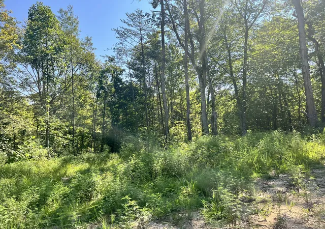 24th image of 0 Big Sink Road, Mcminnville, TN 37110 | MLS# 2976491