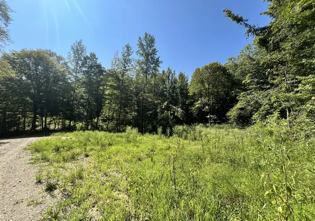 1st image of 0 Big Sink Road, Mcminnville, TN 37110 | MLS# 2976491