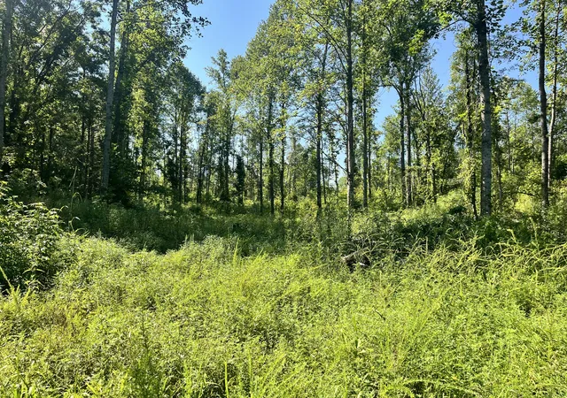 3rd image of 0 Big Sink Road, Mcminnville, TN 37110 | MLS# 2976491