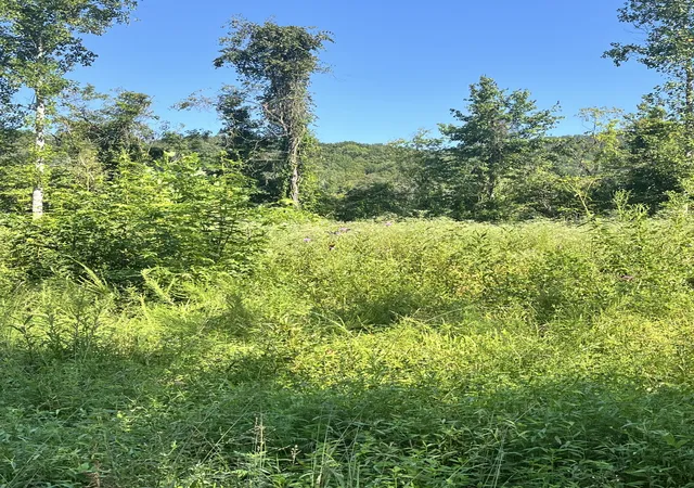4th image of 0 Big Sink Road, Mcminnville, TN 37110 | MLS# 2976491