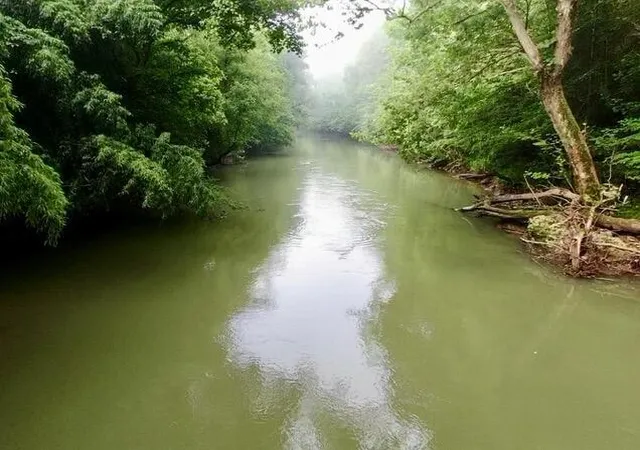 22nd image of 975 Welch Lane, Dunlap, TN 37327 | MLS# 2987059