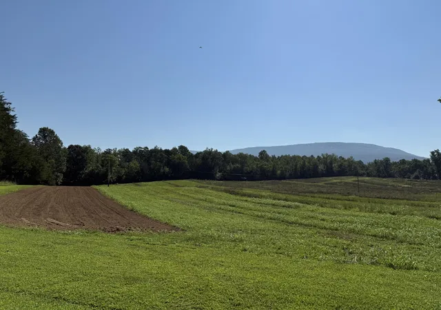 5th image of 975 Welch Lane, Dunlap, TN 37327 | MLS# 2987059
