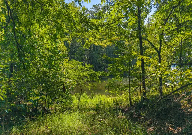 Homes for sale in Rockwood, TN | 0 Eagle Point Dr Lot 8, Rockwood, TN 37854 | MLS# 3156654