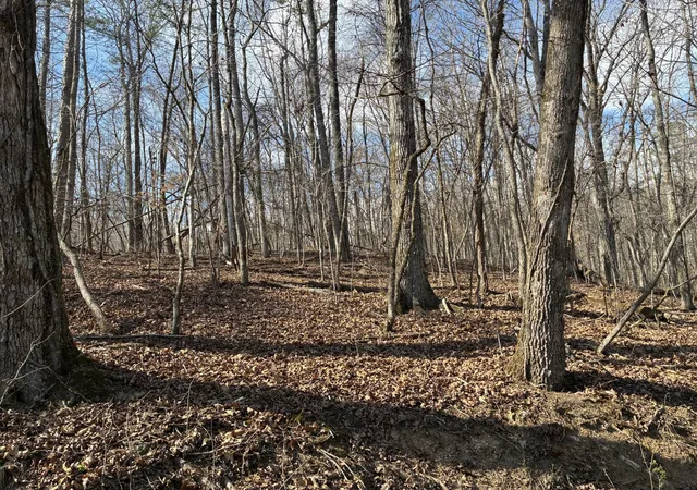 Homes for sale in Rockwood, TN | 0 Eagle Point Dr Lot 8, Rockwood, TN 37854 | MLS# 3156654