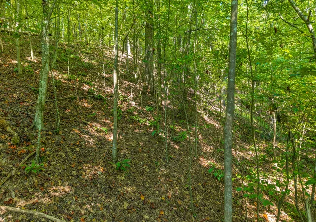 Homes for sale in Rockwood, TN | 0 Eagle Point Dr Lot 8, Rockwood, TN 37854 | MLS# 3156654