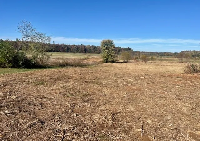 3rd image of 9416 Shady Park Rd, Portland, TN 37148 | MLS# 2976886