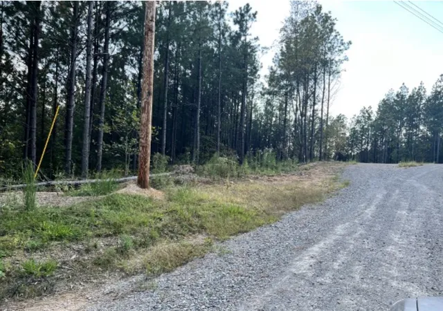 2nd image of 149 Highland Dr, Linden, TN 37096 | MLS# 2987780