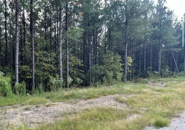 3rd image of 149 Highland Dr, Linden, TN 37096 | MLS# 2987780