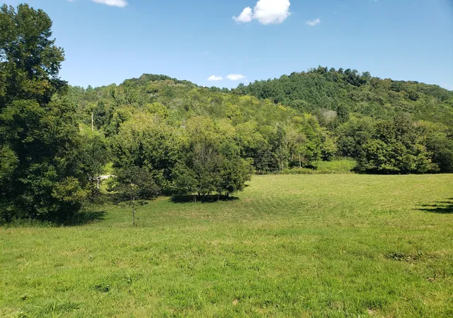 Photo 1 of Land for sale at 0 St John Holw Rd, Woodbury, TN 37190 | MLS# 2981969 | Listing updated on 2025-09-03