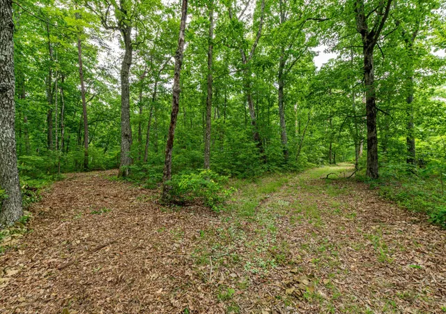 Homes for sale in Pikeville, TN | 261 Gray Rock View, Pikeville, TN 37367 | MLS# 2978659