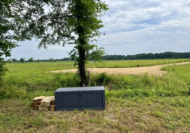 Homes for sale in Savannah, TN | 6725 Cravens Rd, Savannah, TN 38372 | MLS# 3078805