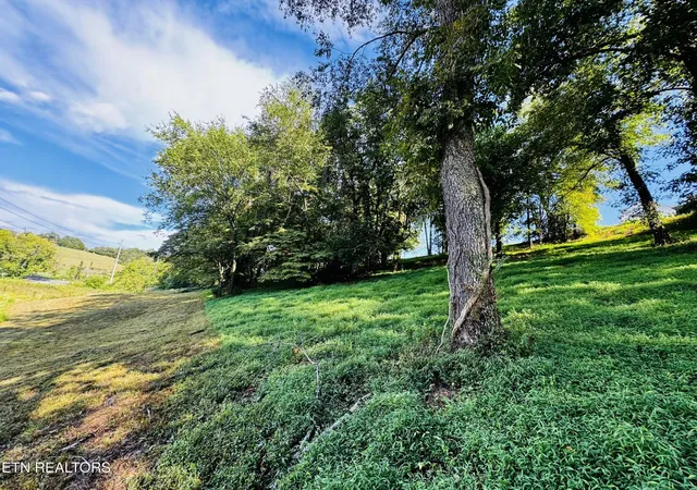13th image of 207 Clyde Ed Rd, Kodak, TN 37764 | MLS# 3304508