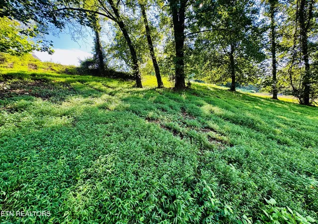 2nd image of 207 Clyde Ed Rd, Kodak, TN 37764 | MLS# 3304508