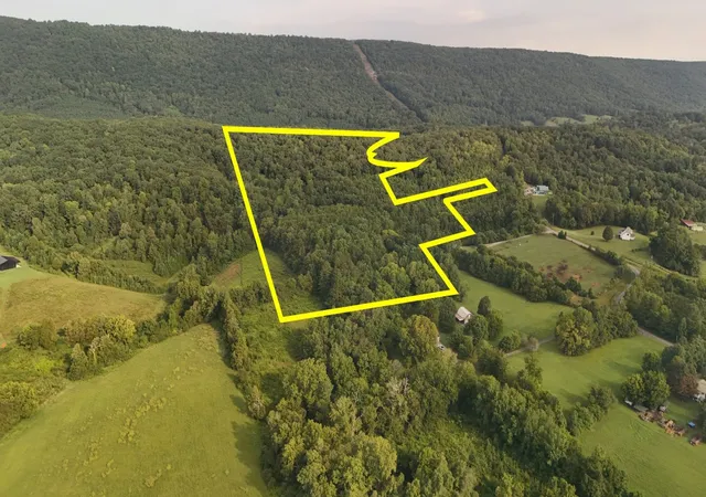 2nd image of 0 Price Rd, Spring City, TN 37381 | MLS# 2981024