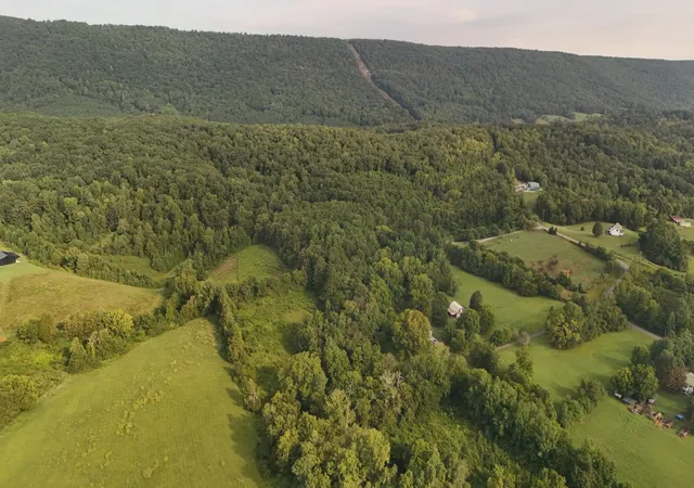 34th image of 0 Price Rd, Spring City, TN 37381 | MLS# 2981024