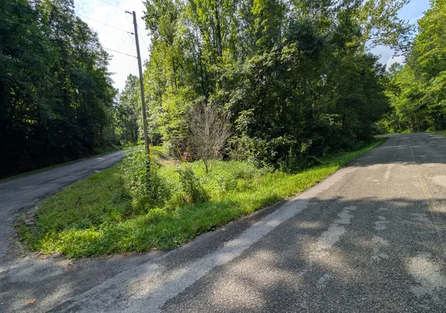 4th image of 0 Price Rd, Spring City, TN 37381 | MLS# 2981024