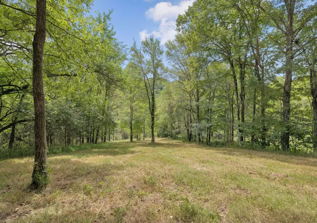 Photo 2 of Land for sale at 0 Funn Branch Road, Gainesboro, TN 38562 | MLS# 2987938 | Listing updated on 2025-09-03