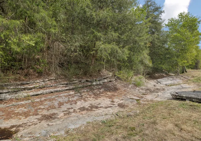 Photo 31 of Land for sale at 0 Funn Branch Road, Gainesboro, TN 38562 | MLS# 2987938 | Listing updated on 2025-09-03