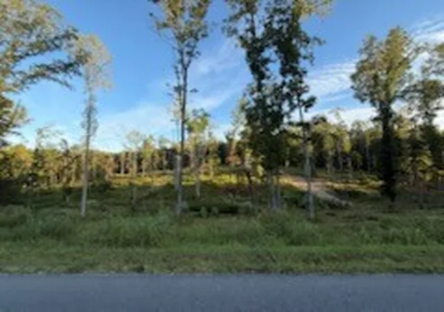 3rd image of 0 Jones Creek Rd-4 Approved Lots, White Bluff, TN 37187 | MLS# 2990112