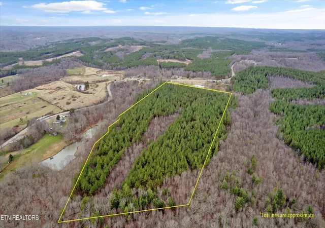 2nd image of 94380 Morgan County Hwy, Sunbright, TN 37872 | MLS# 3304474