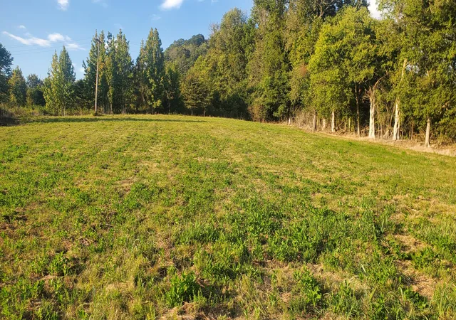 Homes for sale in Whitleyville, TN | 0 Gladdice Hwy, Whitleyville, TN 38588 | MLS# 2987971