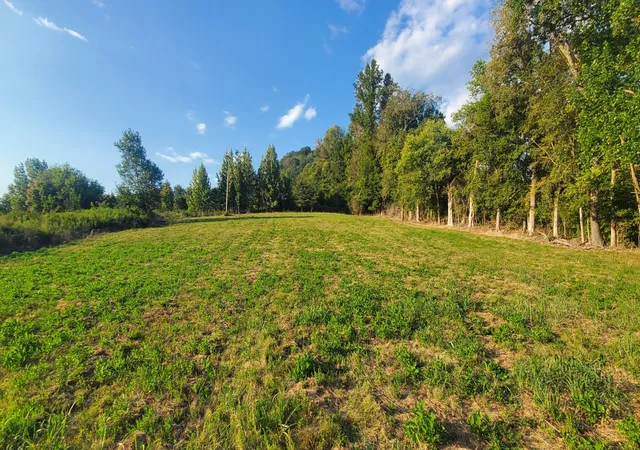Homes for sale in Whitleyville, TN | 0 Gladdice Hwy, Whitleyville, TN 38588 | MLS# 2987971