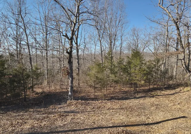 Homes for sale in Linden, TN | 146 Wyatt Ln, Linden, TN 37096 | MLS# 2985324