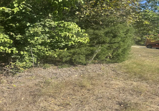 Photo 4 of Land at 0 Highway 48 N, Cumberland Furnace, TN 37051 | MLS# 2987557 | | Sold on 2025-12-29