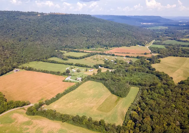 19th image of 80 Sweetens Cove Road, South Pittsburg, TN 37380 | MLS# 2986006