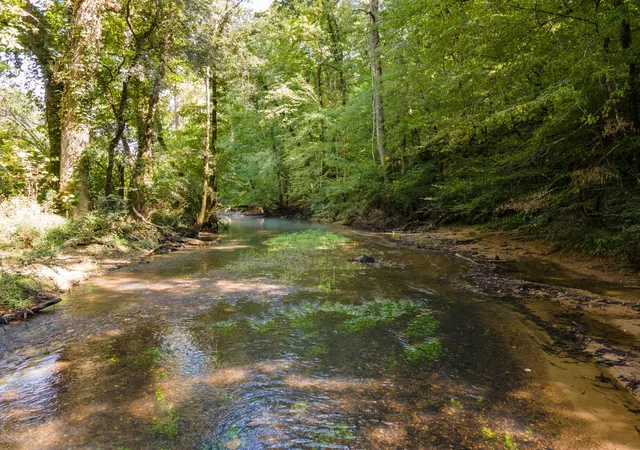 1st image of 80 Sweetens Cove Road, South Pittsburg, TN 37380 | MLS# 2986006