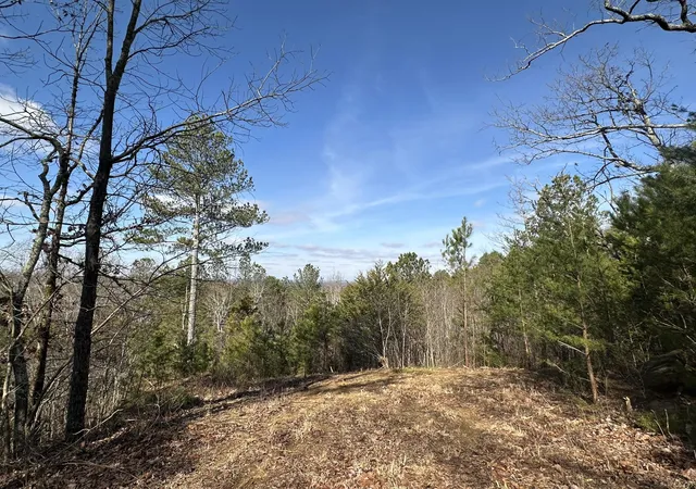 Homes for sale in Old Fort, TN | 125 Fox Trail Dr, Old Fort, TN 37362 | MLS# 3223447