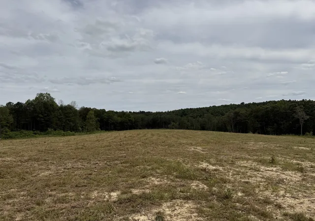 13th image of 0 Bolin Rd, Crossville, TN 38572 | MLS# 2986440
