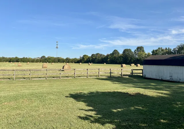 3rd image of 215 Carver Lane, Lebanon, TN 37087 | MLS# 2991655