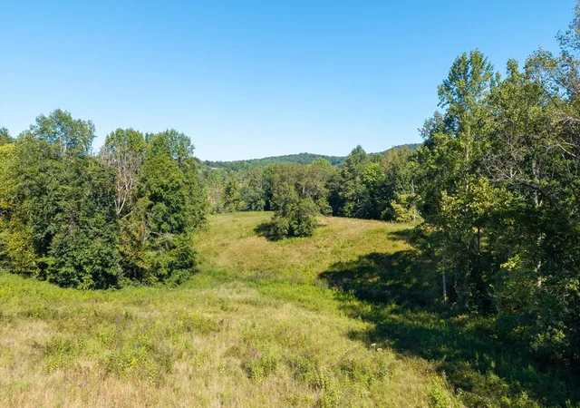 Homes for sale in Livingston, TN | 0 Mansville Lane, Livingston, TN 38570 | MLS# 2987695