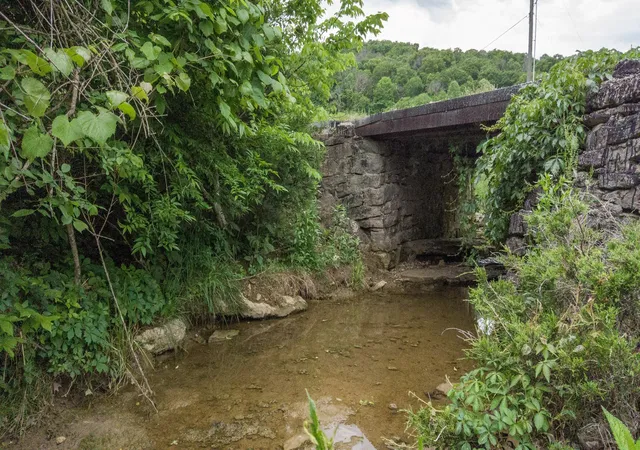Photo 91 of Single family home for sale at 1036 Reed Hollow Rd, Readyville, TN 37149 | MLS# 2987668 | Listing updated on 2025-09-29