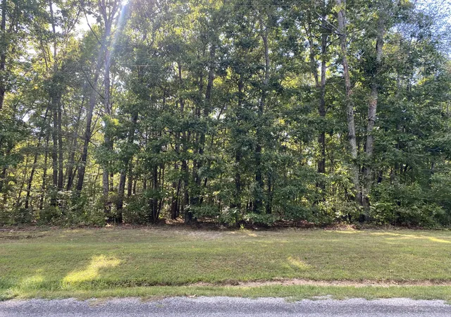 Homes for sale in Summertown, TN | 0 Redstone Dr, Summertown, TN 38483 | MLS# 2988019