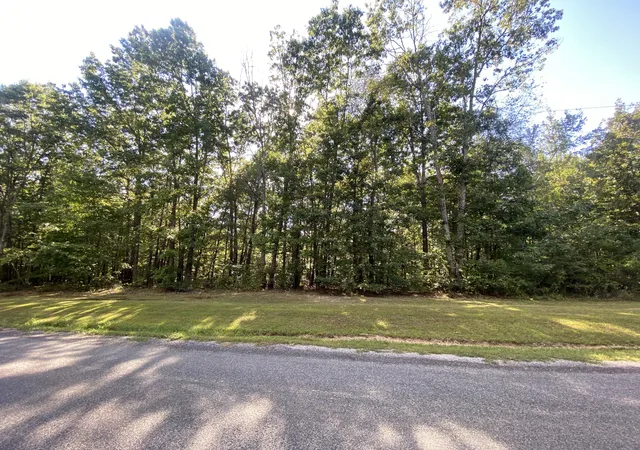 Homes for sale in Summertown, TN | 0 Redstone Dr, Summertown, TN 38483 | MLS# 2988019