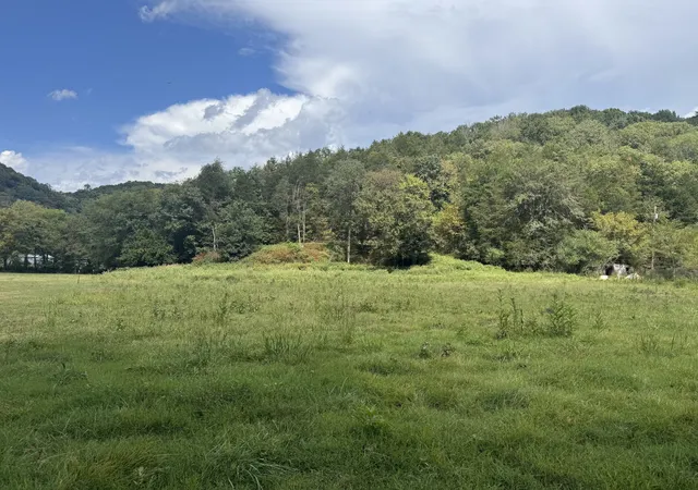 1st image of 0 Hurrican Branch Ln, Gainesboro, TN 38562 | MLS# 2988788