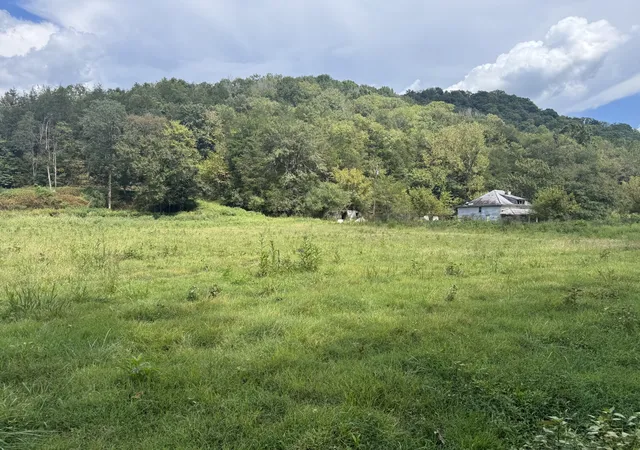 2nd image of 0 Hurrican Branch Ln, Gainesboro, TN 38562 | MLS# 2988788