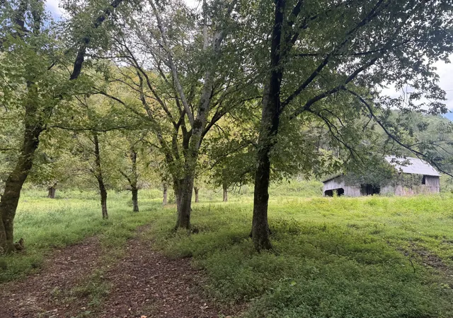 4th image of 0 Hurrican Branch Ln, Gainesboro, TN 38562 | MLS# 2988788