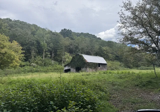 5th image of 0 Hurrican Branch Ln, Gainesboro, TN 38562 | MLS# 2988788