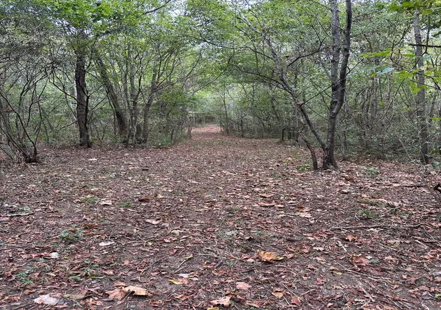 4th image of 2 Cedar Bluff Road, Lafayette, TN 37083 | MLS# 3059190