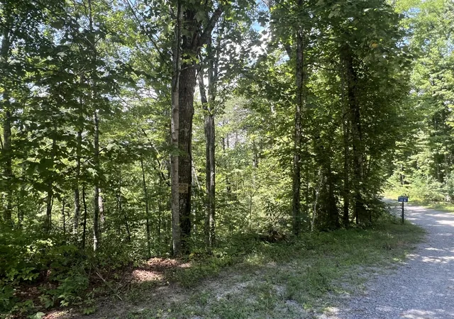 3rd image of 6 Walnut Flats, Walland, TN 37886 | MLS# 2991218