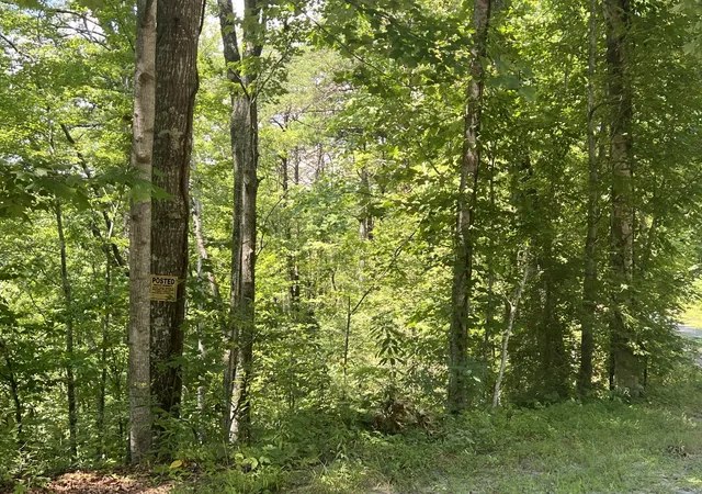 4th image of 6 Walnut Flats, Walland, TN 37886 | MLS# 2991218
